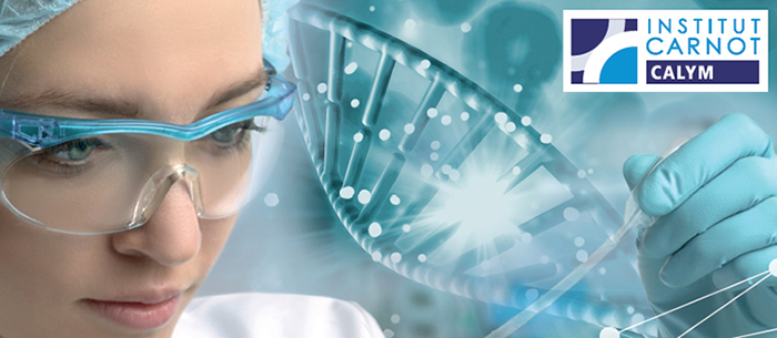<span class="highlight"> The Carnot CALYM Institute</span> Fighting against lymphoma with Artificial Intelligence